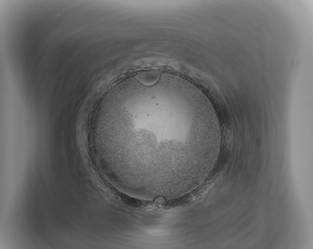 X0000113881489200909241341
