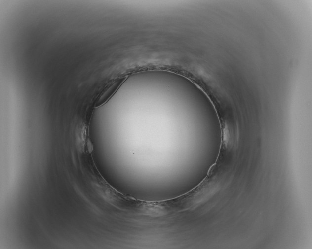 X0000113881492200909241341