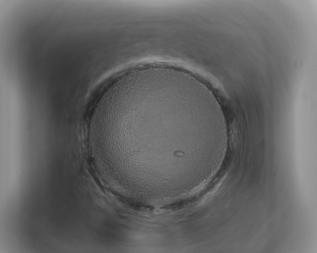 X0000113881494200909241341