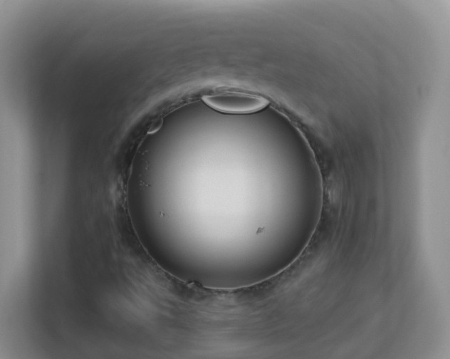 X0000113881495200909241341
