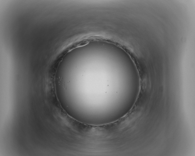 X0000113881496200909241341