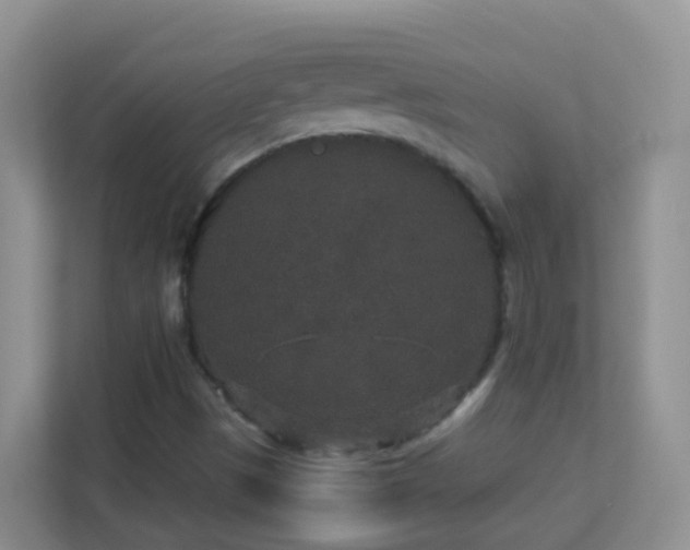 X0000113881497200909241341