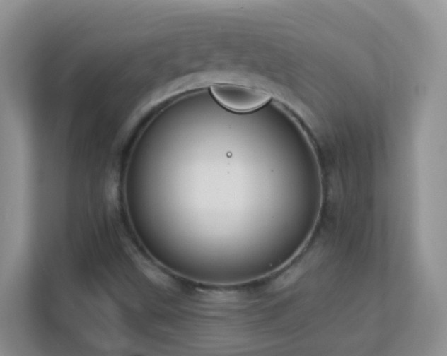 X0000113881499200909241341