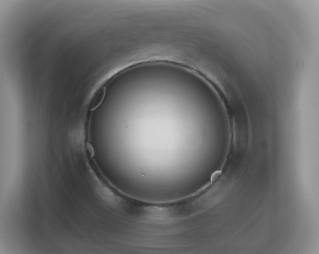 X0000113881500200909241341