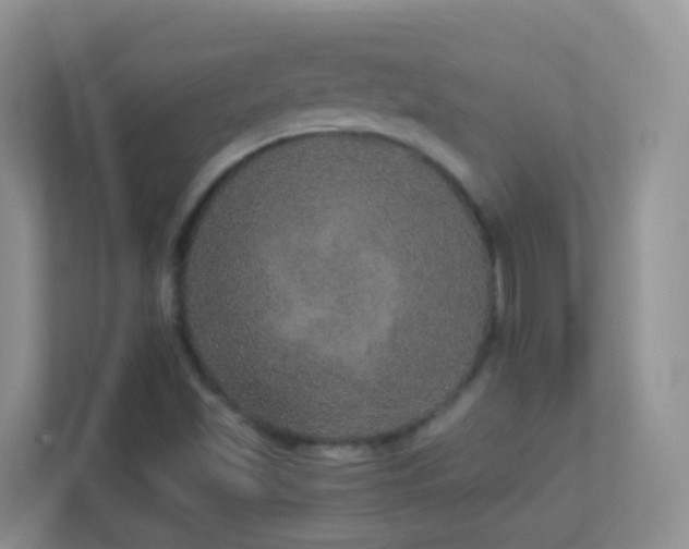 X0000113881501200909241341