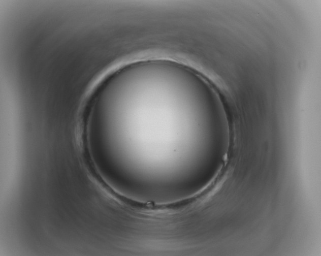 X0000113881502200909241341