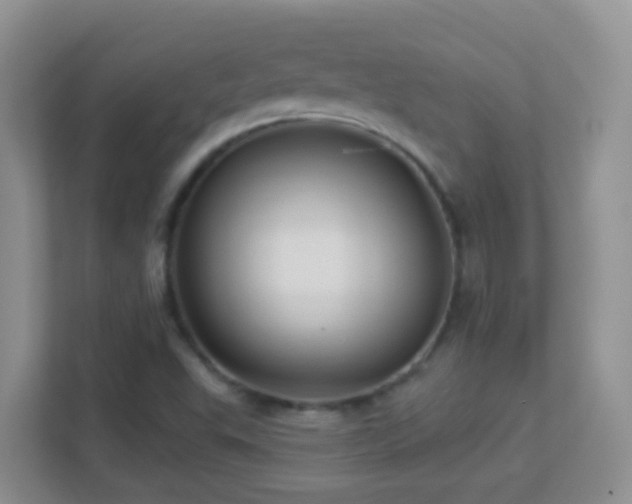 X0000113881503200909241341