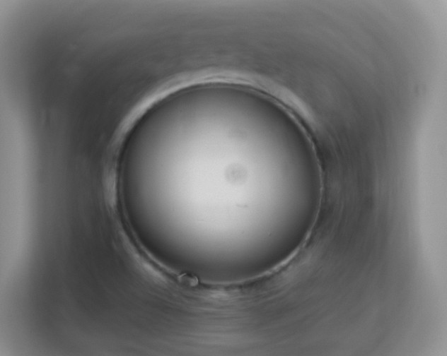 X0000113881504200909241341