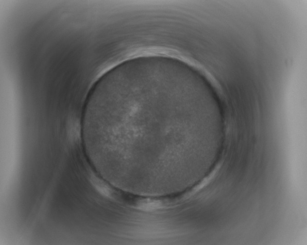 X0000113881505200909241341