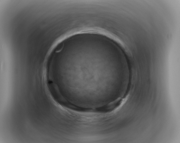X0000113881506200909241341