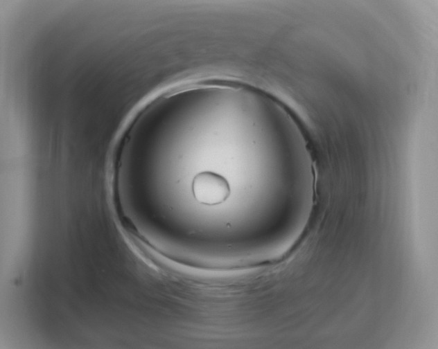 X0000113881508200909241342