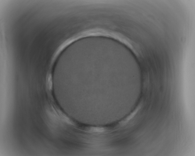 X0000113881509200909241342