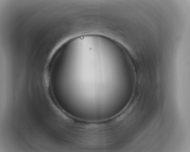 X0000113881510200909241342