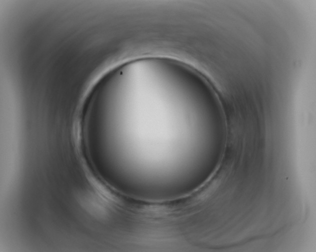 X0000113881511200909241342