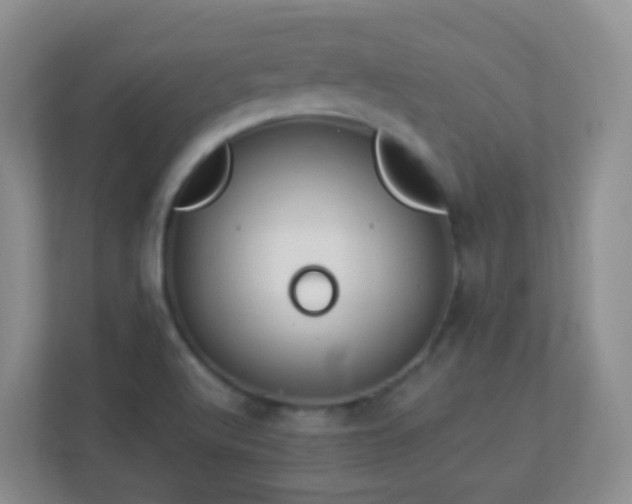 X0000113881512200909241342