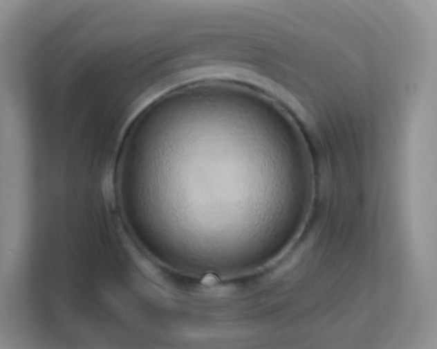 X0000113881513200909241342