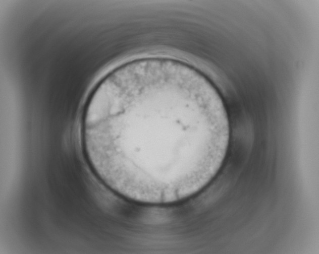 X0000113881514200909241342