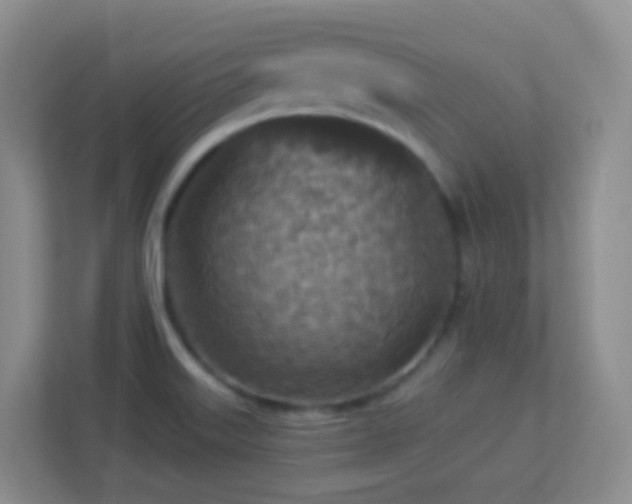 X0000113881515200909241342