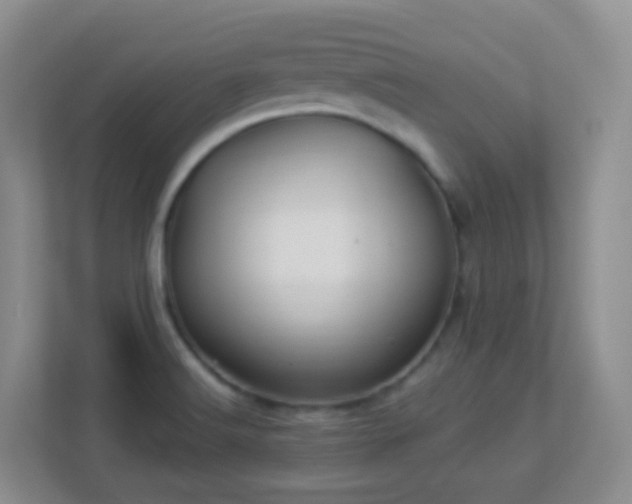 X0000113881516200909241342