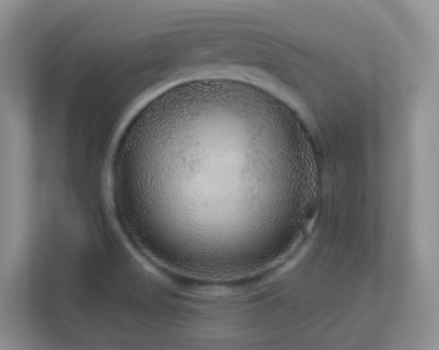 X0000113881517200909241342