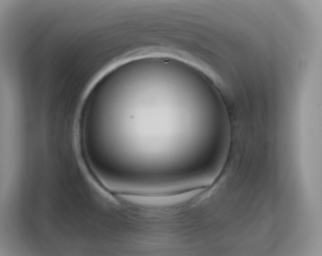X0000113881518200909241342