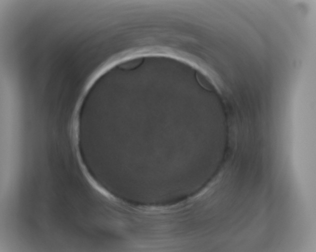 X0000113881519200909241342