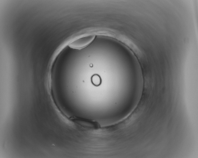 X0000113881520200909241342