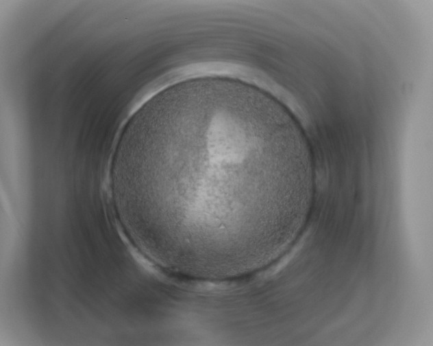 X0000113881521200909241342