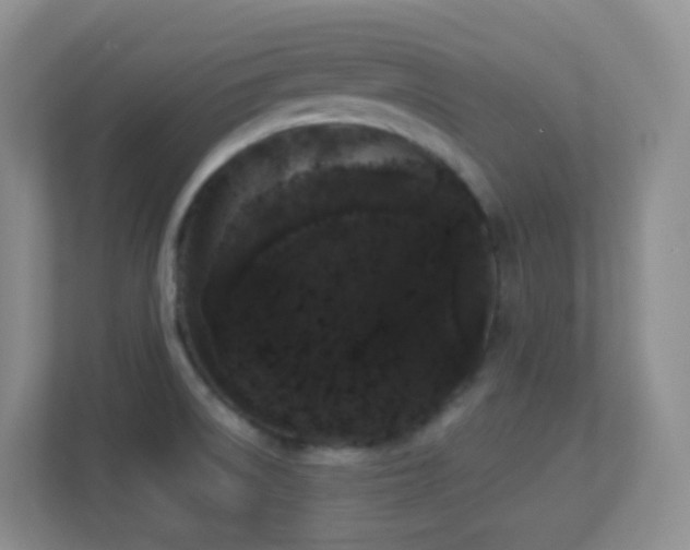 X0000113881522200909241342