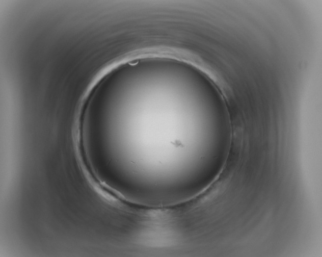 X0000113881523200909241342
