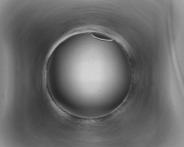 X0000113881524200909241342