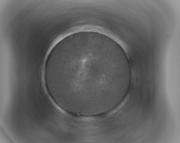 X0000113881525200909241342