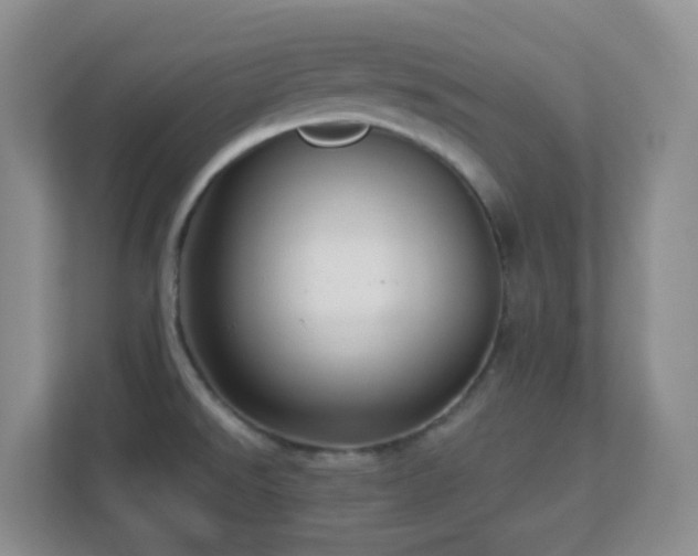 X0000113881526200909241342