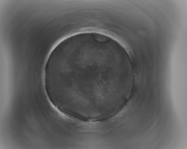 X0000113881527200909241342