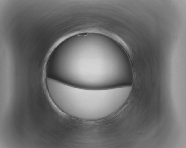X0000113881528200909241342