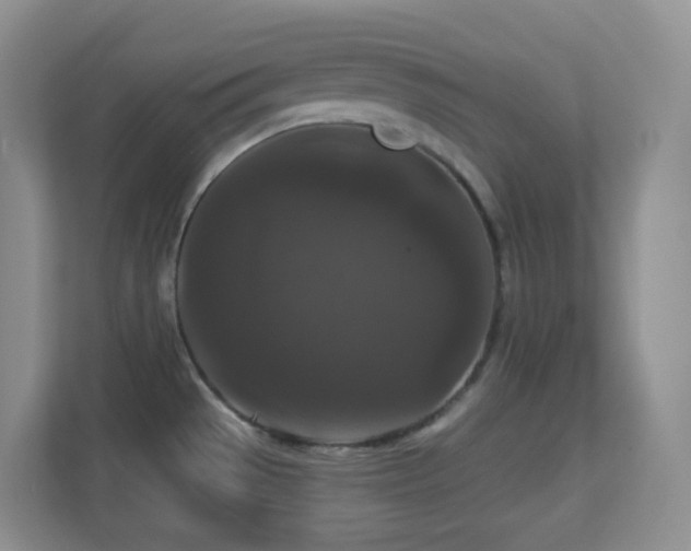X0000113881529200909241342