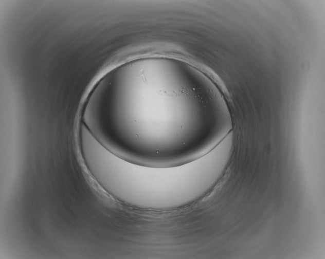 X0000113881530200909241342