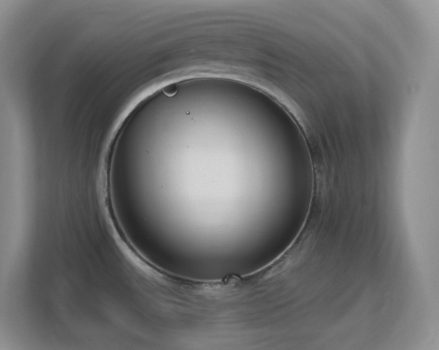 X0000113881531200909241342