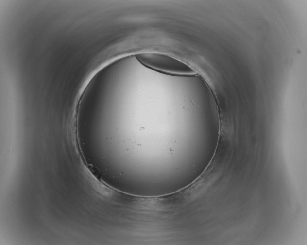 X0000113881532200909241342