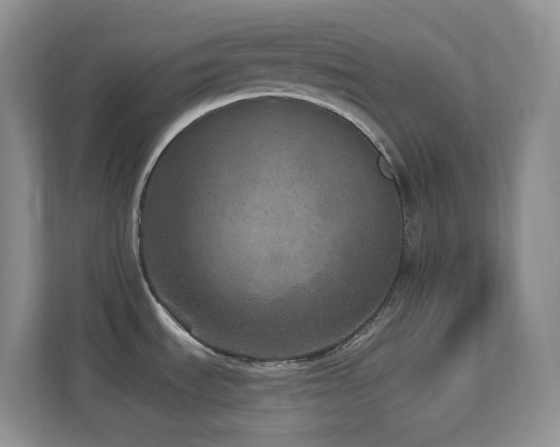 X0000113881535200909241342