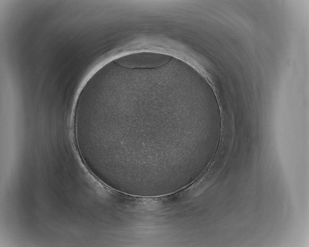 X0000113881536200909241342