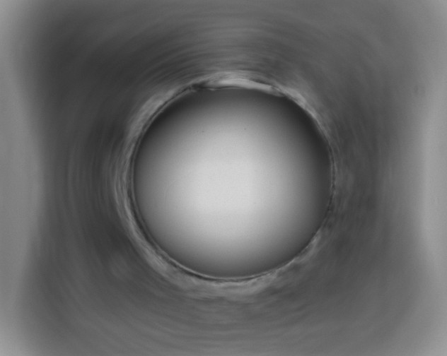 X0000113880001200910011142