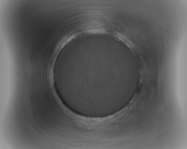 X0000113880002200910011142