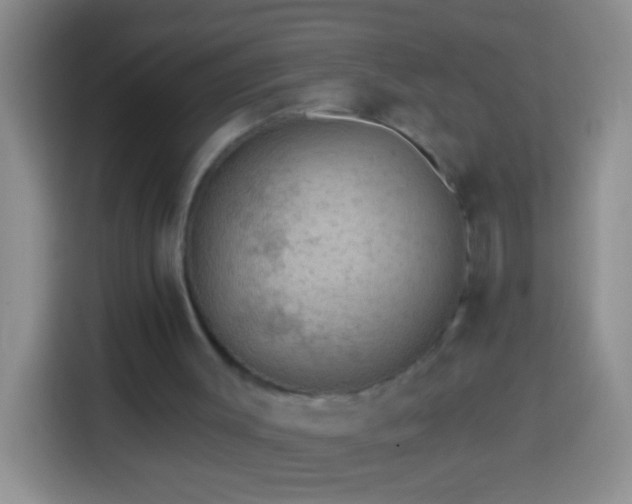 X0000113880003200910011142