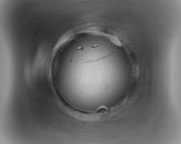 X0000113880004200910011142