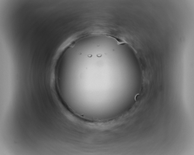 X0000113880005200910011142