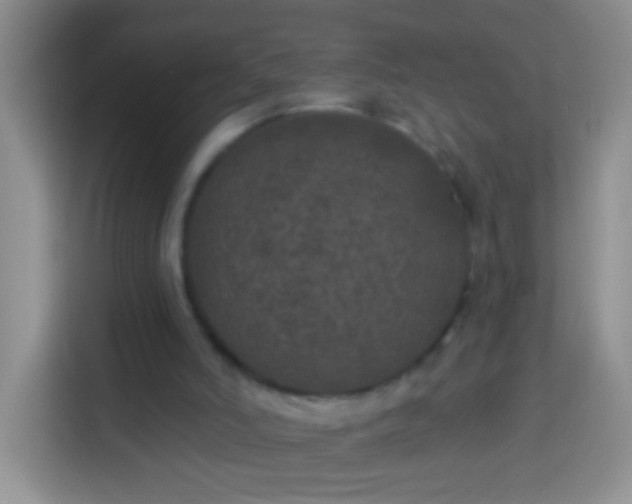 X0000113880006200910011141