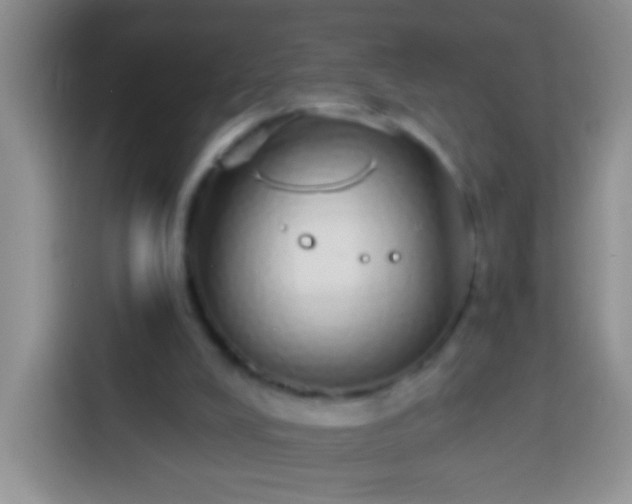 X0000113880008200910011141