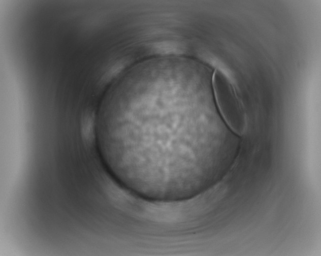 X0000113880009200910011141