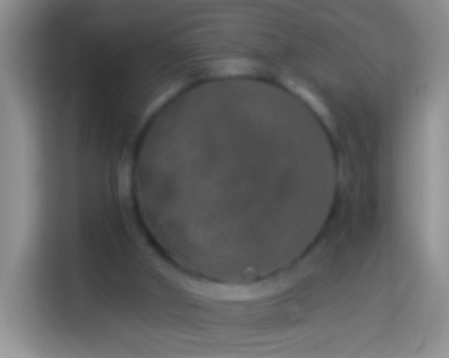 X0000113880010200910011141